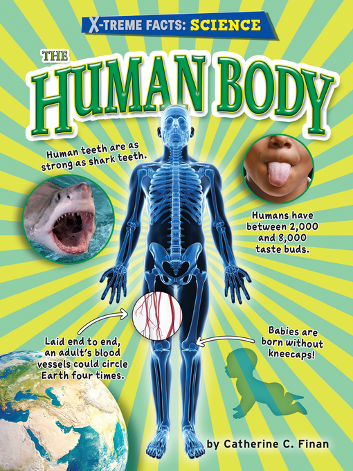 Catherine C. Finan创作的The Human Body作品的详细信息 - 需进入等候名单